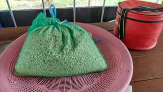 관음손가네님의 자유주제 · 자유게시판 작성글 사진