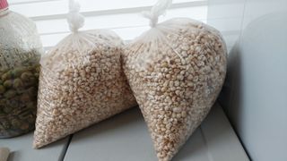 관음손가네님의 자유주제 · 자유게시판 작성글 사진