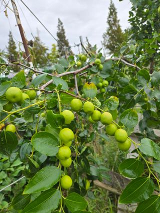 천지창조님의 자유주제 · 자유게시판 작성글 사진