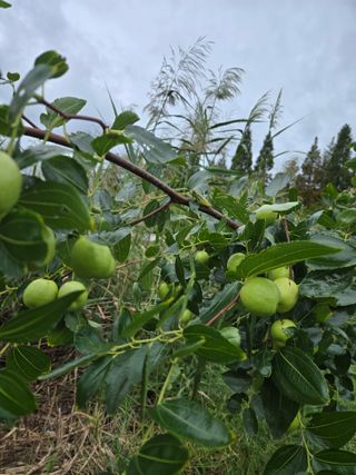 천지창조님의 자유주제 · 자유게시판 작성글 사진