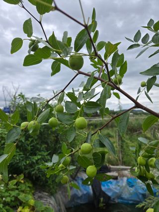 천지창조님의 자유주제 · 자유게시판 작성글 사진