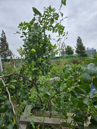 천지창조님의 자유주제 · 자유게시판 작성글 사진