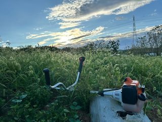 4륜구동경운기님의 감 · 영농일지 작성글 사진