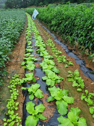 이상응님의 자유주제 · 자유게시판 작성글 사진