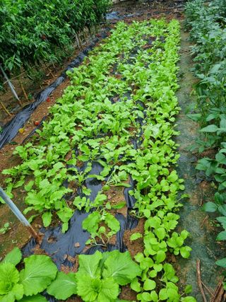 이상응님의 자유주제 · 자유게시판 작성글 사진