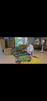 팜모닝 자유주제·자유게시판 게시글 이미지