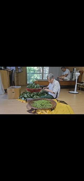 정정애님의 자유주제 · 자유게시판 작성글 사진