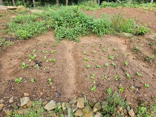 정정애님의 자유주제 · 자유게시판 작성글 사진