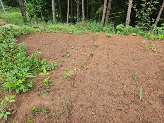 정정애님의 자유주제 · 자유게시판 작성글 사진