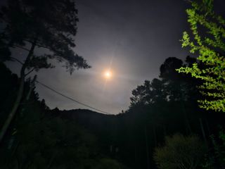 정정애님의 자유주제 · 자유게시판 작성글 사진