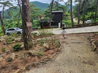 정정애님의 자유주제 · 자유게시판 작성글 사진