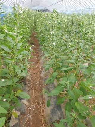 허굴산농장님의 자유주제 · 자유게시판 작성글 사진