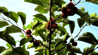 문해님의 자유주제 · 자유게시판 작성글 사진