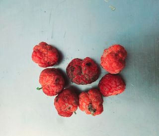 문해님의 자유주제 · 자유게시판 작성글 사진