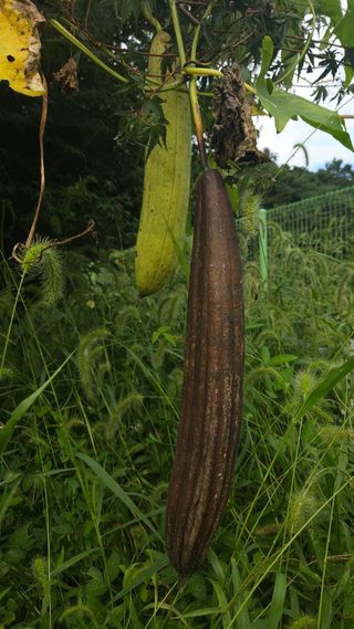 문해님의 자유주제 · 자유게시판 작성글 사진