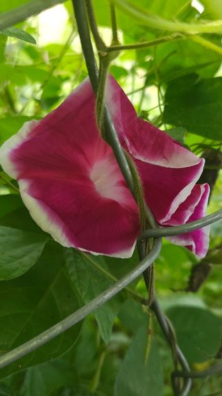 문해님의 자유주제 · 자유게시판 작성글 사진