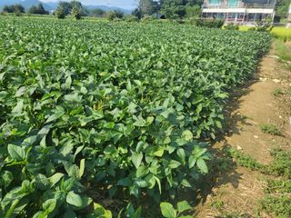 서명석님의 자유주제 · 자유게시판 작성글 사진