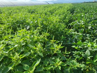 서명석님의 자유주제 · 자유게시판 작성글 사진