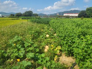 서명석님의 자유주제 · 자유게시판 작성글 사진