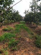 팜모닝 자유주제·자유게시판 게시글 이미지