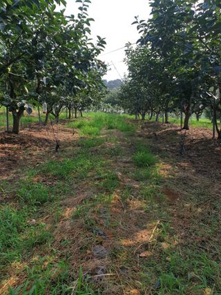 산들농원님의 자유주제 · 자유게시판 작성글 사진