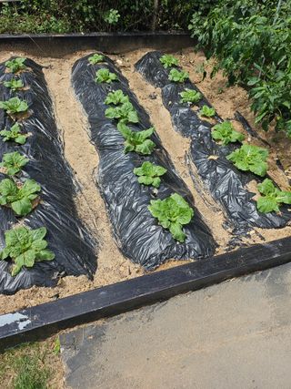 어홍님의 자유주제 · 자유게시판 작성글 사진