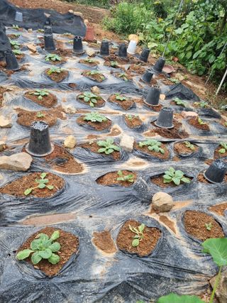 이남신님의 자유주제 · 자유게시판 작성글 사진