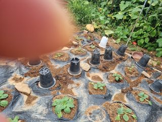 이남신님의 자유주제 · 자유게시판 작성글 사진