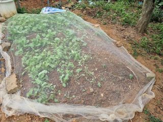 이남신님의 자유주제 · 자유게시판 작성글 사진