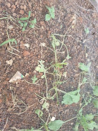 이남신님의 자유주제 · 자유게시판 작성글 사진