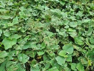 이남신님의 자유주제 · 자유게시판 작성글 사진