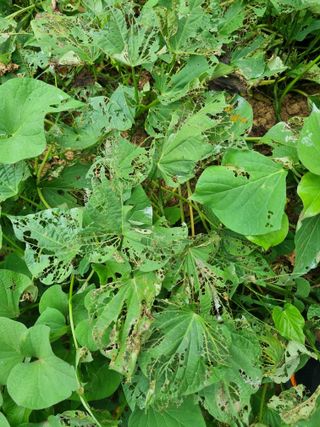이남신님의 자유주제 · 자유게시판 작성글 사진
