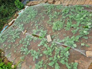 이남신님의 자유주제 · 자유게시판 작성글 사진