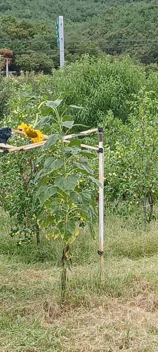 고풍마님님의 자유주제 · 자유게시판 작성글 사진