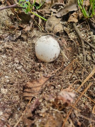 귀농은어렵다.님의 자유주제 · 자유게시판 작성글 사진