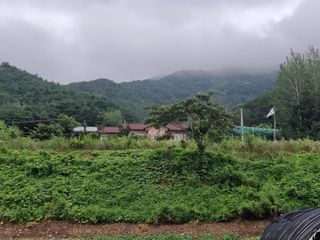 김재평님의 작성글 사진