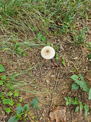 충남공주이도은님의 자유주제 · 자유게시판 작성글 사진