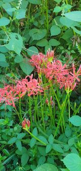 팜모닝 자유주제·자유게시판 게시글 이미지