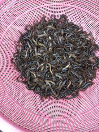 희야님의 자유주제 · 자유게시판 작성글 사진