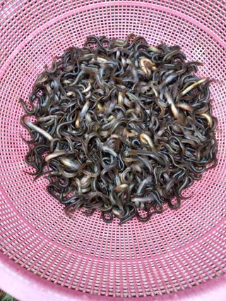 희야님의 자유주제 · 자유게시판 작성글 사진