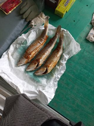 희야님의 자유주제 · 자유게시판 작성글 사진