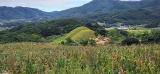최동식님의 기타작물 · 영농일지 작성글 사진