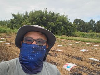 소병기 정직한농장님의 마늘 · 영농일지 작성글 사진