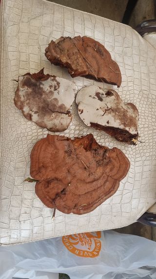 김성민 님의 자유주제 · 자유게시판 작성글 사진