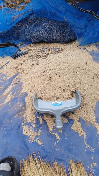 님의 참깨 · 영농일지 작성글 사진