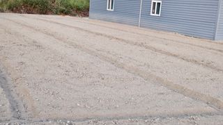 도초이삭님의 시금치 · 영농일지 작성글 사진