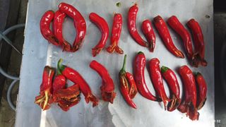 비지땀님의 자유주제 · 자유게시판 작성글 사진