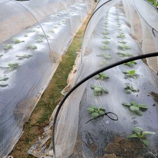 이창화님의 자유주제 · 자유게시판 작성글 사진