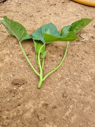 풍요님의 자유주제 · 자유게시판 작성글 사진