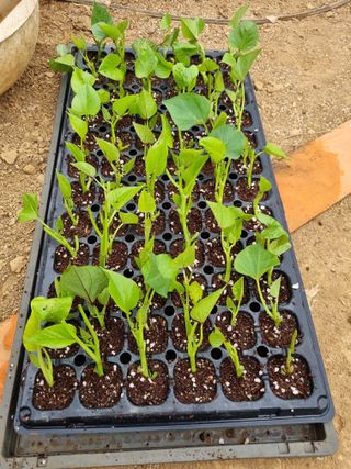 풍요님의 자유주제 · 자유게시판 작성글 사진